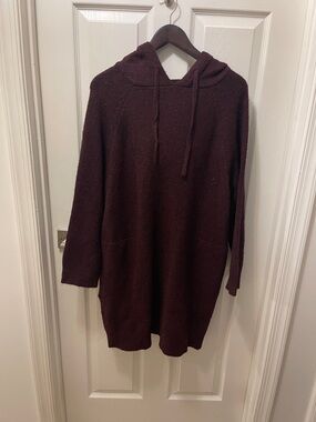 Cozy Hooded Knit Dress in Deep Burgundy NWOT